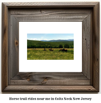 horse trail rides near me in Colts Neck, New Jersey